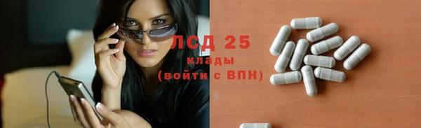 мдпв Рославль