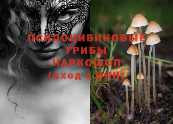 амфетамин Богородицк
