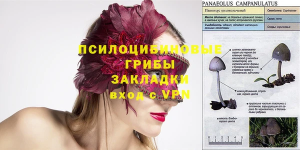 скорость Богданович