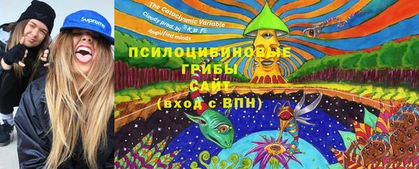 скорость Богданович