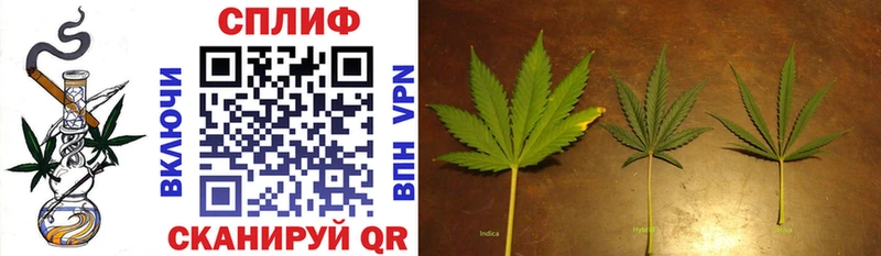 купить наркотики цена  Шагонар  Шишки марихуана Ganja 